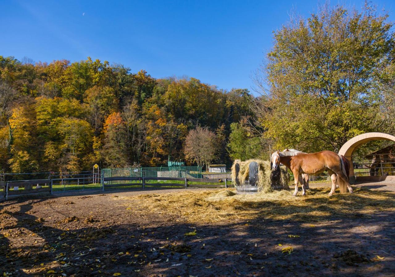 Hotel & Ferienwohnungen Bohlenblick Saalfeld Saale Bagian luar foto