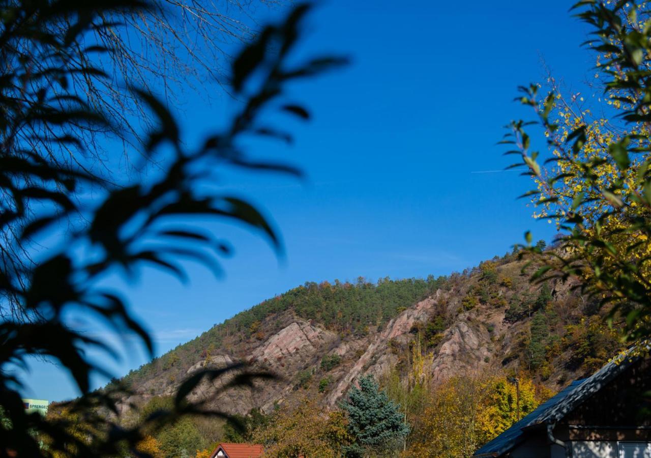 Hotel & Ferienwohnungen Bohlenblick Saalfeld Saale Bagian luar foto